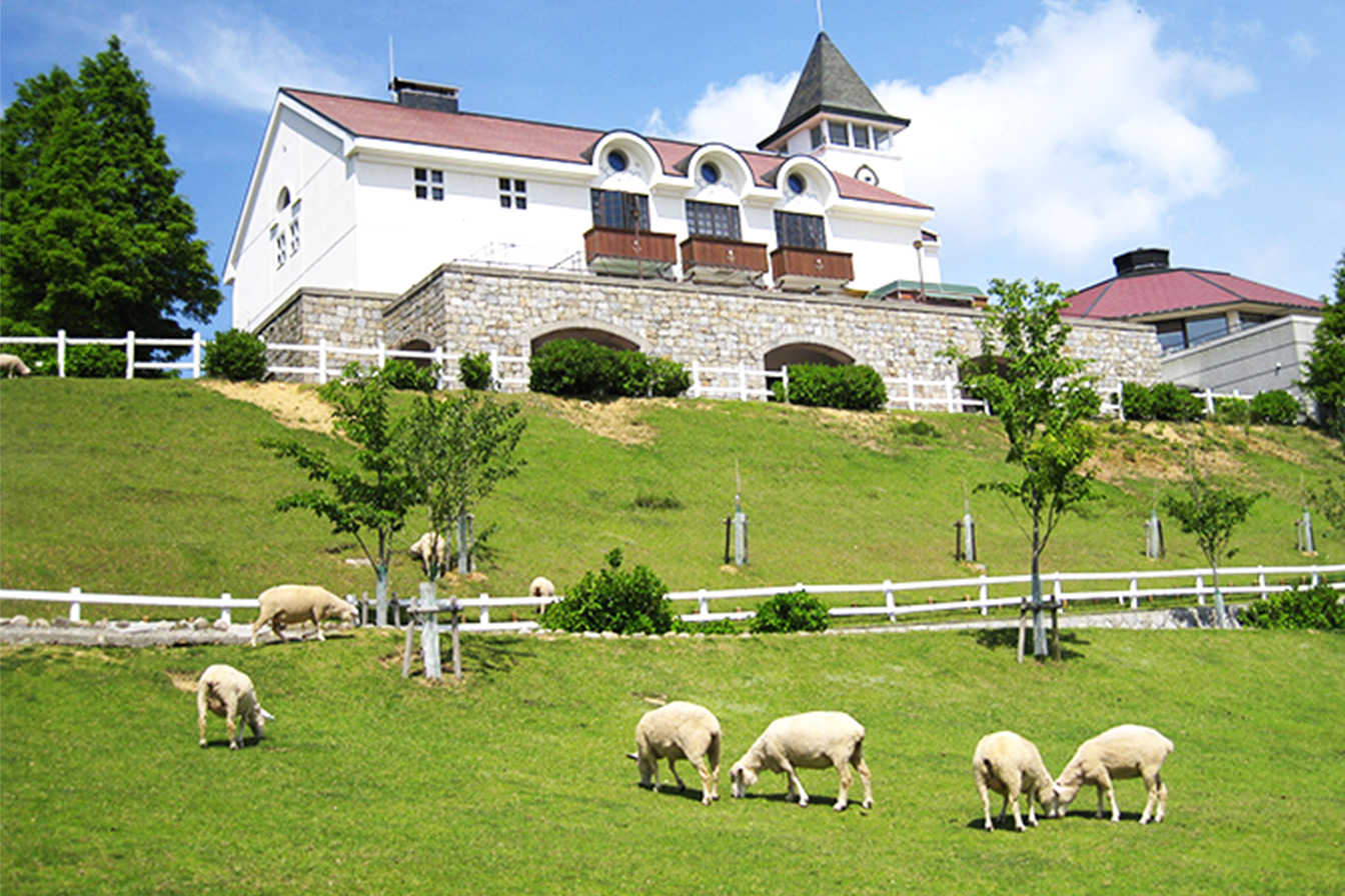 絶景に出会う感動