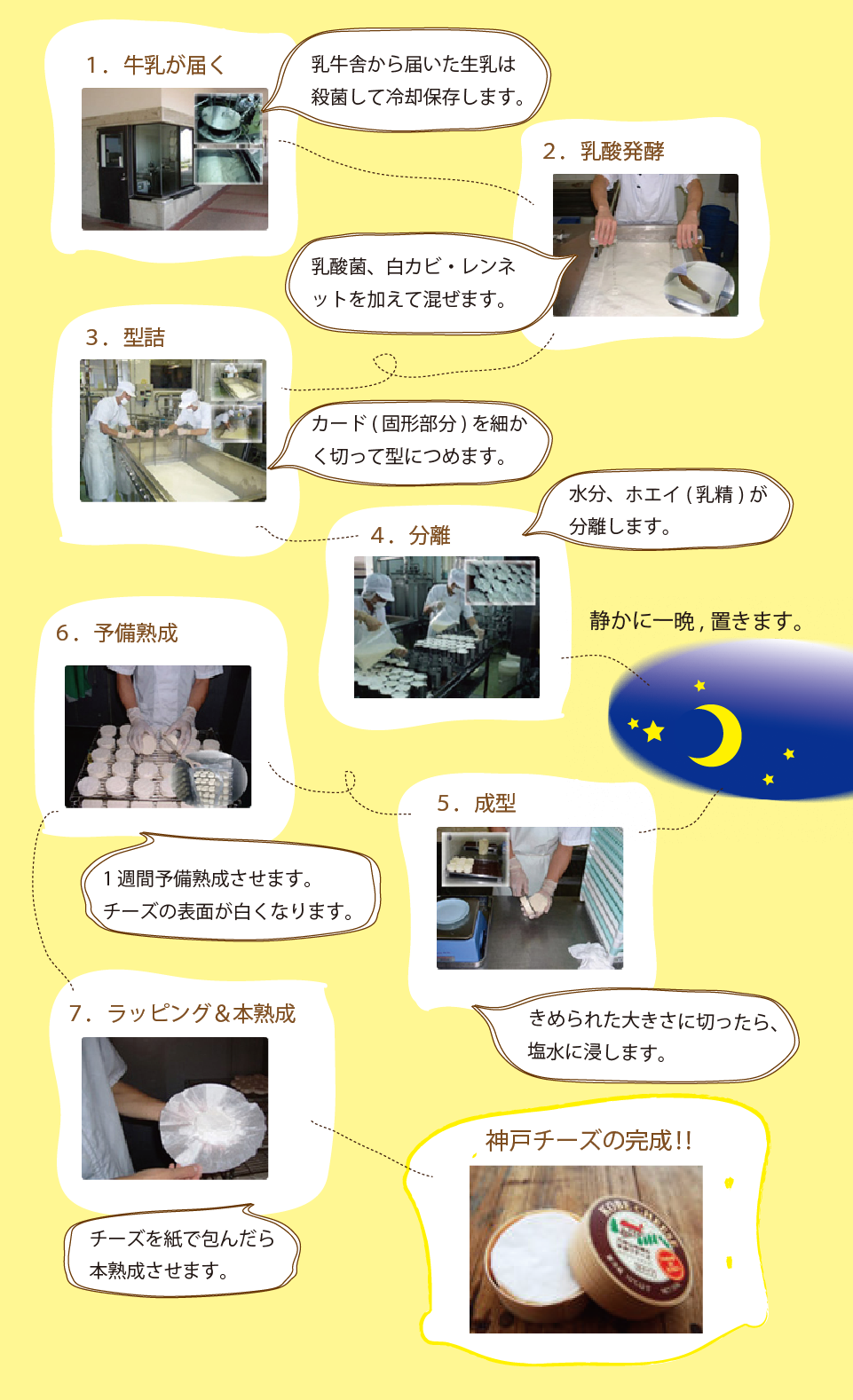 チーズ製造過程