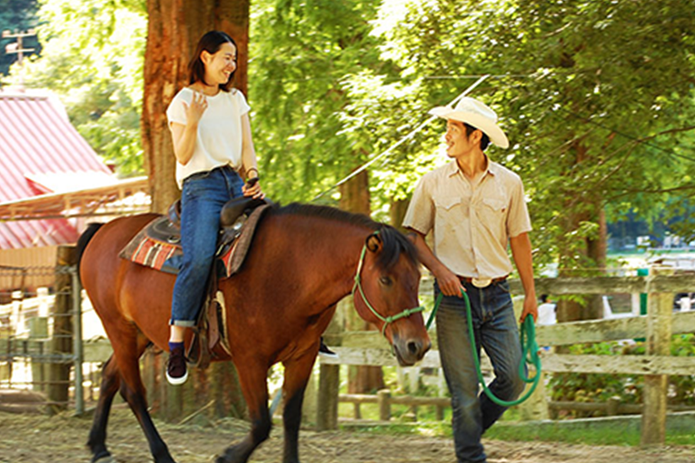 乗馬体験